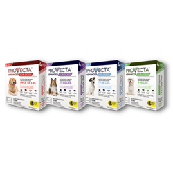 Provecta® Advanced for Dogs 