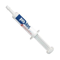 Probios® Equine One Oral Gel Tube Probios, Equine, One, Oral, Gel, Tube, 30, gm, maintain, appetite, provide, stabilized, source, beneficial, bacteria, multiple, strains, intestinal, microflora, paste, stress, USA, Equine